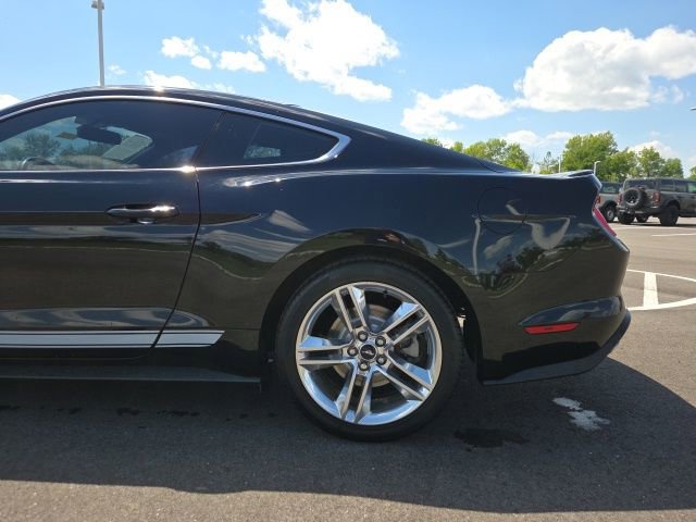 Certified 2019 Ford Mustang Premium w/ Equipment Group 201A RWD image 12