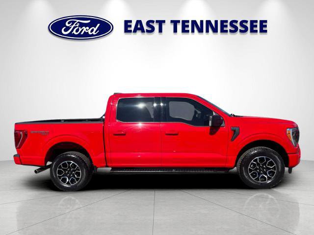 Certified 2023 Ford F150 XLT w/ Equipment Group 302A High image 6