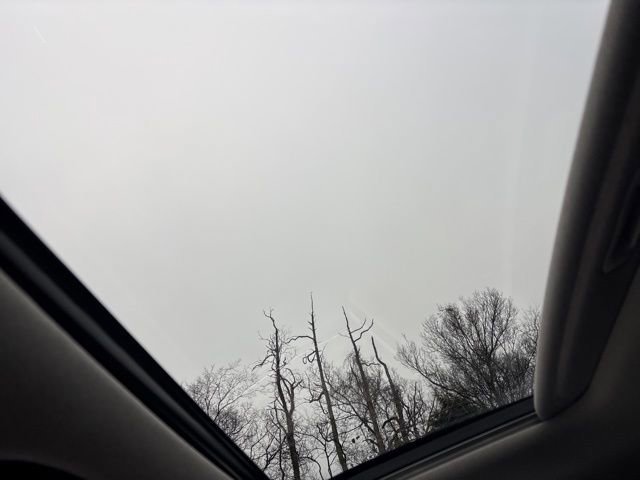 Used 2023 Hyundai Palisade Limited w/ Cargo Package image 15