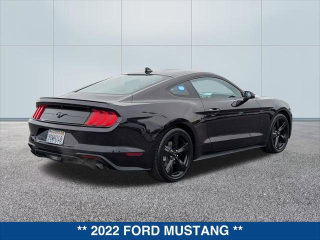 Certified 2022 Ford Mustang EcoBoost Fastback w/ Equipment Group 101A image 4