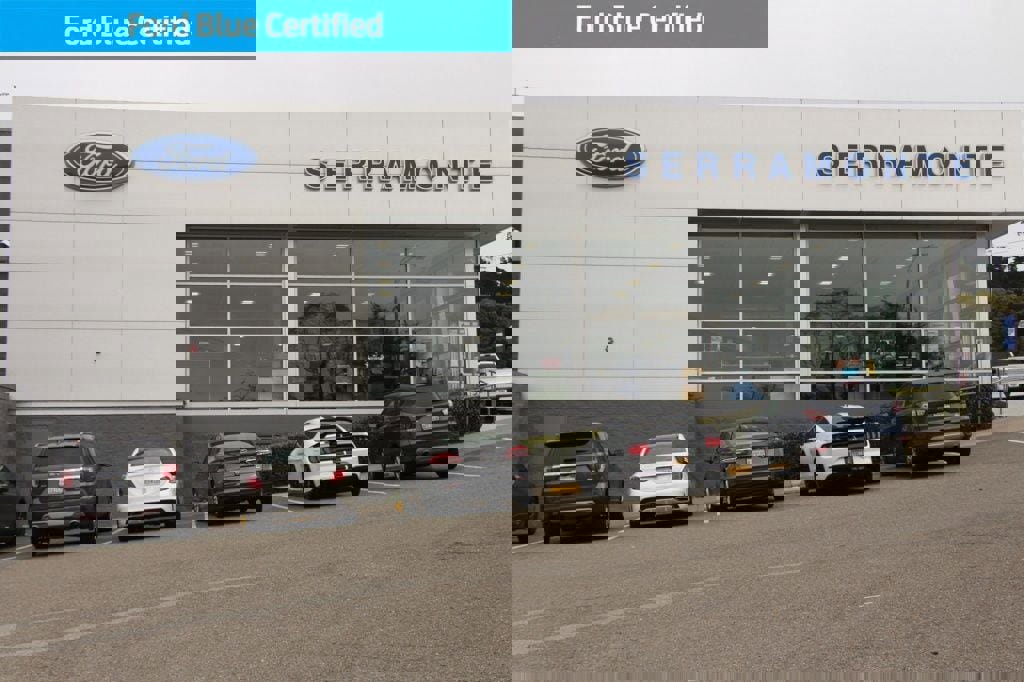 Certified 2025 Ford Expedition Max Active image 38