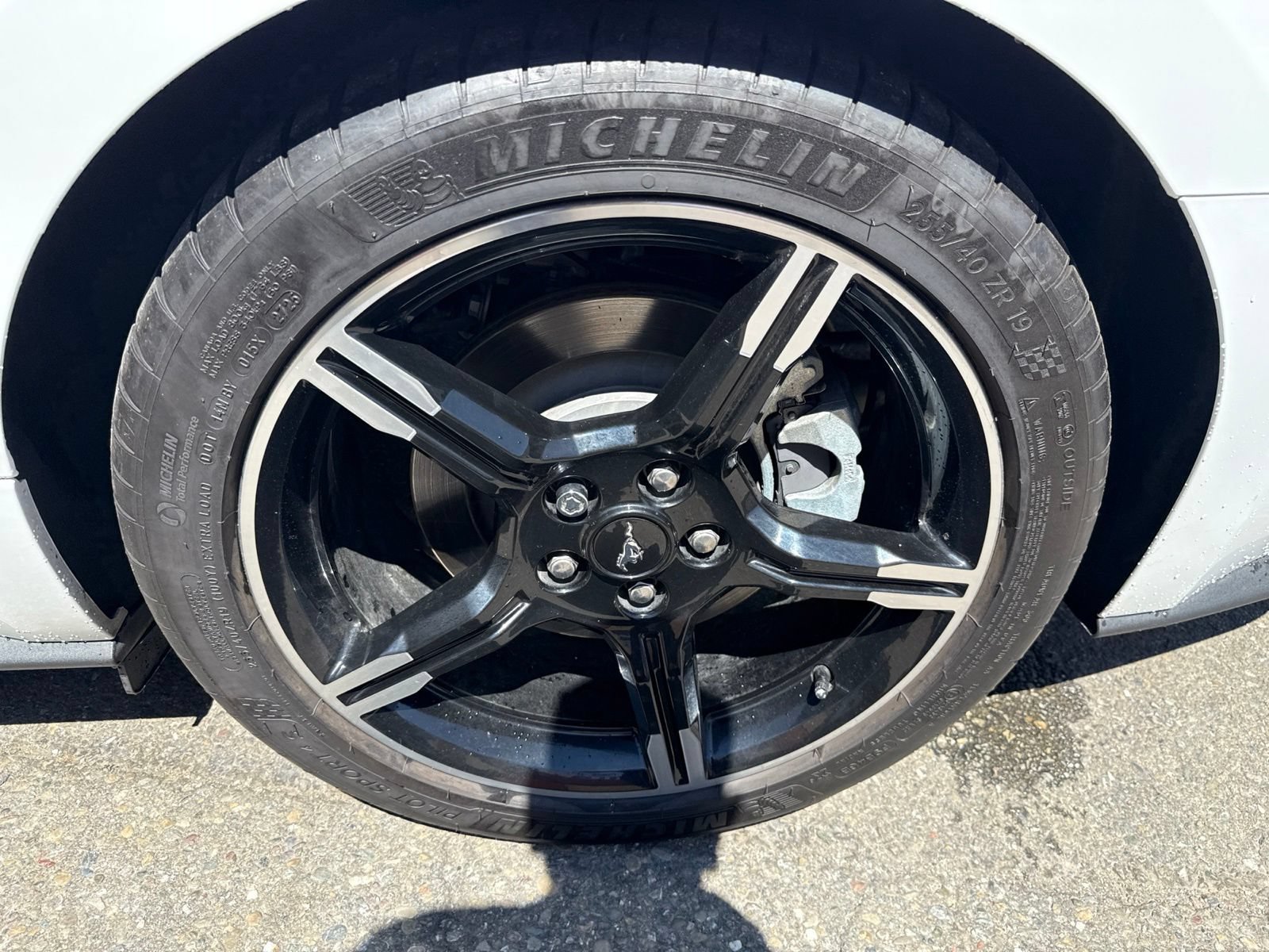 Certified 2019 Ford Mustang GT Premium w/ California Special Package RWD image 23