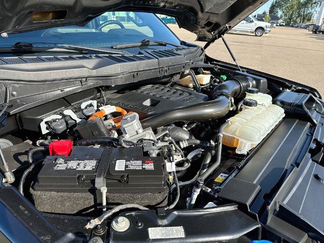 Certified 2023 Ford F150 XLT w/ Equipment Group 302A High AWD/4WD image 22