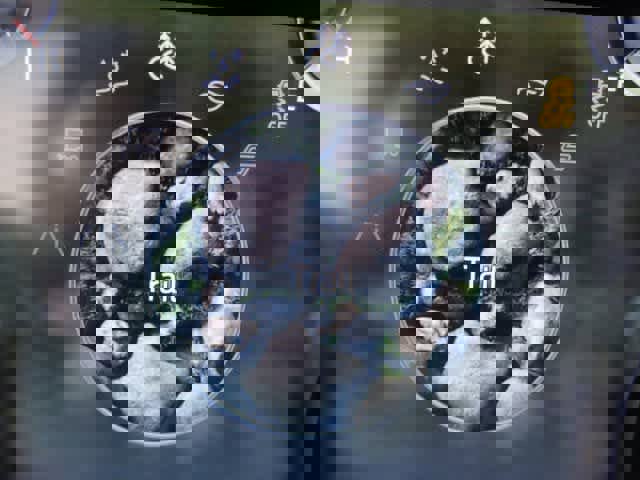 Certified 2023 Ford Expedition XLT image 44