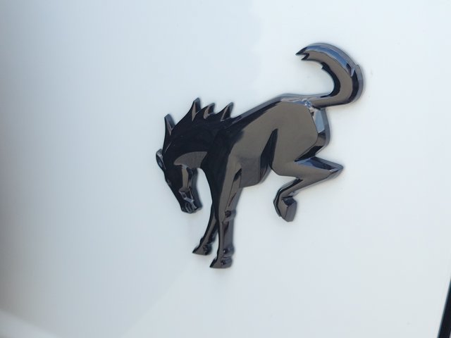 Certified 2024 Ford Bronco Wildtrak AWD/4WD image 7