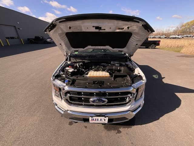 Certified 2022 Ford F150 XLT w/ Equipment Group 302A High AWD/4WD image 25