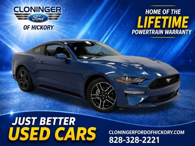 Certified 2023 Ford Mustang Coupe w/ Equipment Group 101A RWD image 1