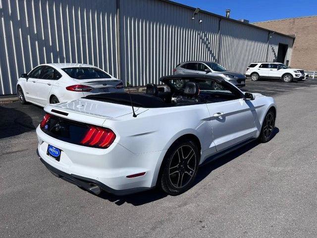 Certified 2023 Ford Mustang Premium image 7