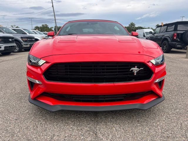 Certified 2019 Ford Mustang GT Premium w/ Equipment Group 401A RWD image 2