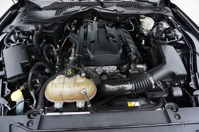 Certified 2017 Ford Mustang Coupe w/ Enhanced Security Package RWD image 13