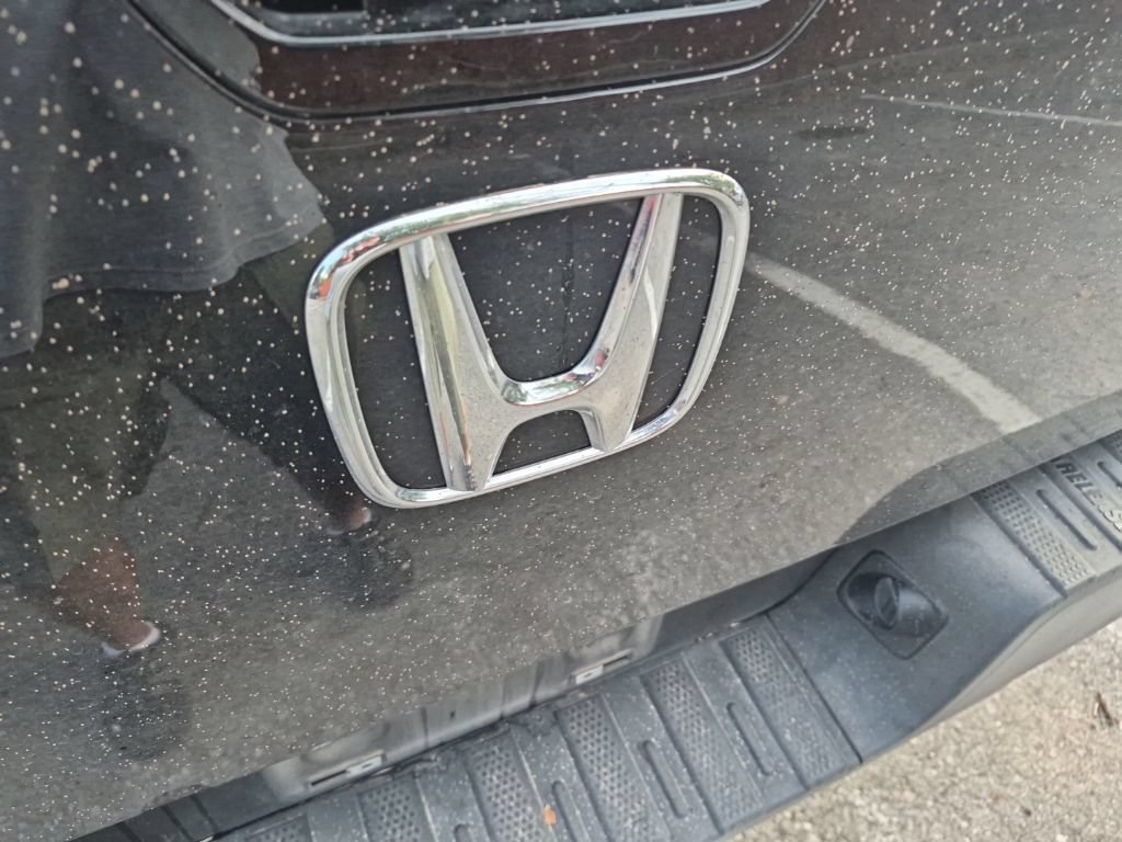 Used 2023 Honda Ridgeline RTL image 14