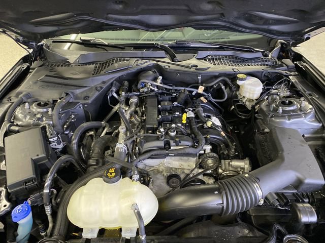 Certified 2021 Ford Mustang Premium w/ Equipment Group 201A image 31