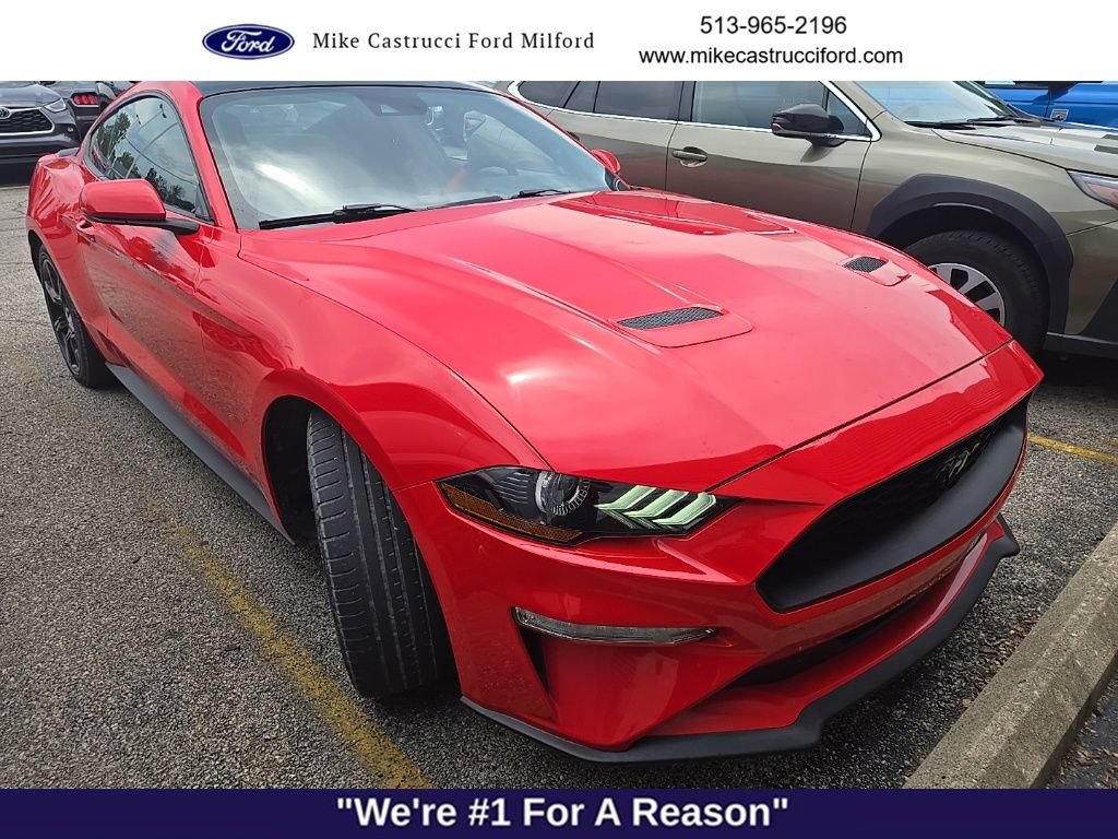 Certified 2019 Ford Mustang Coupe w/ Equipment Group 101A RWD image 3