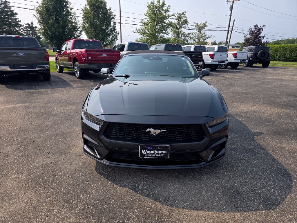 Certified 2025 Ford Mustang Premium RWD image 8