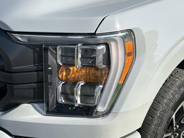 Certified 2023 Ford F150 XLT w/ Equipment Group 302A High image 8