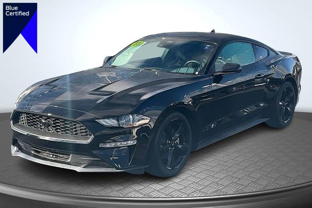 Certified 2023 Ford Mustang EcoBoost w/ Mustang Nite Pony Package image 1