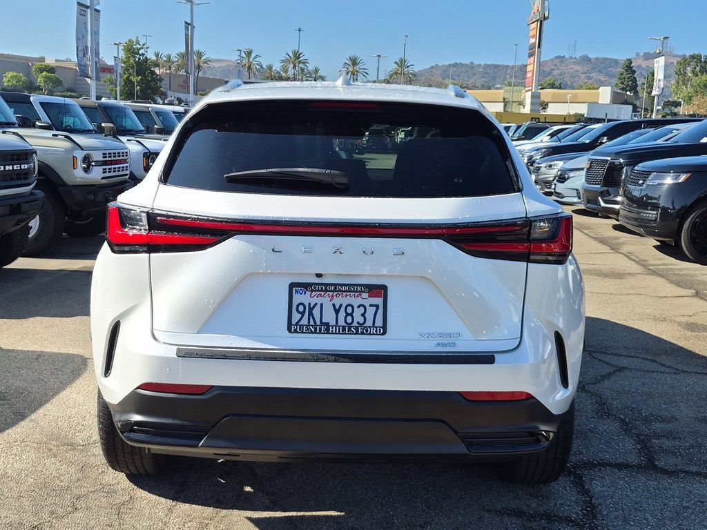 Used 2024 Lexus NX 250 AWD w/ Cold Area Package image 5