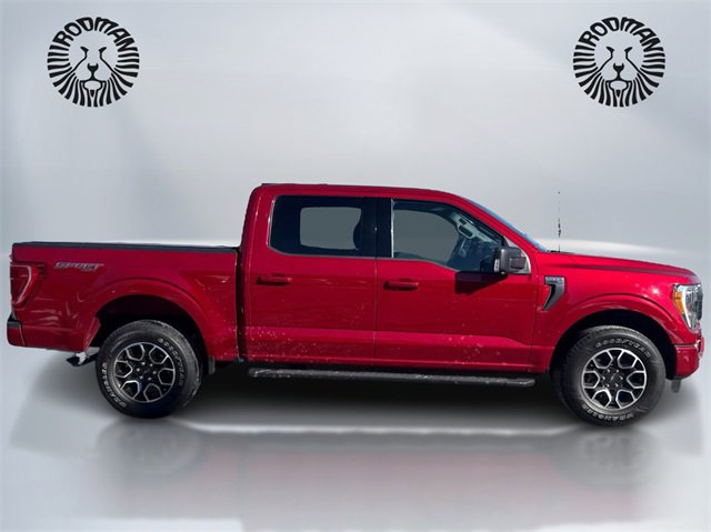 Certified 2021 Ford F150 XLT w/ Equipment Group 302A High image 4