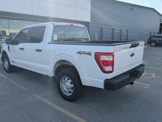 Certified 2023 Ford F150 XL AWD/4WD image 3