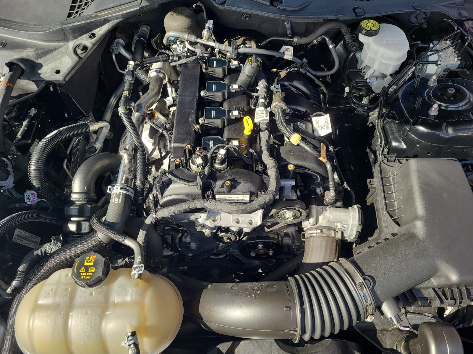 Certified 2022 Ford Mustang Premium image 22