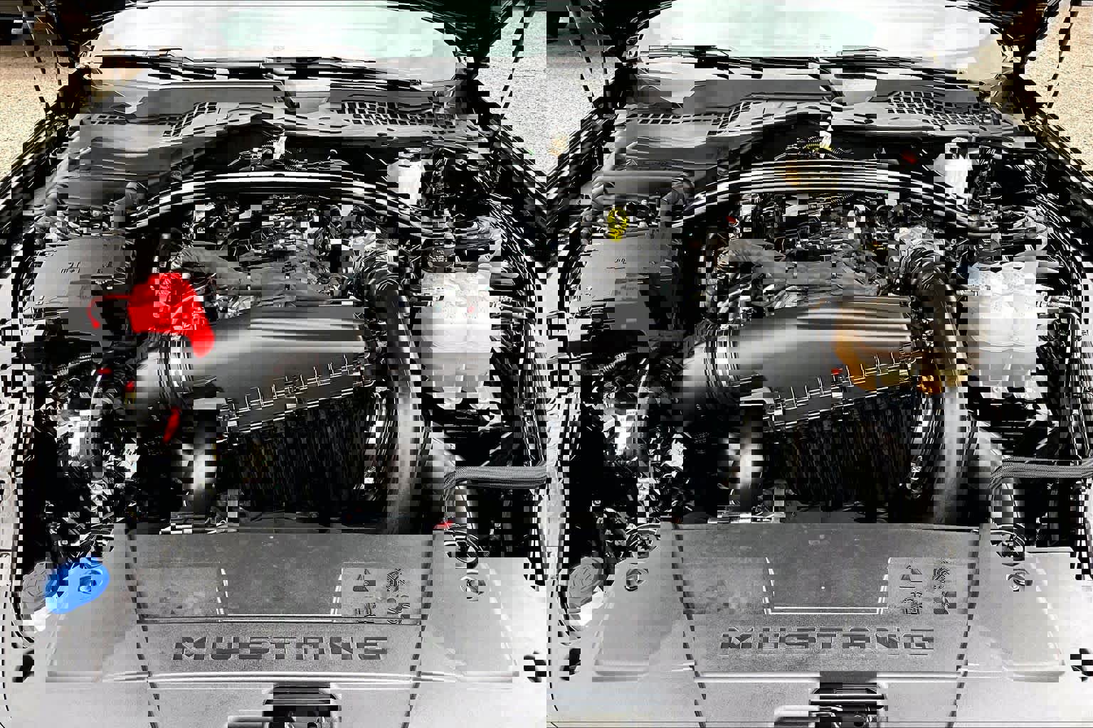 Certified 2025 Ford Mustang Premium image 32