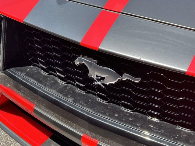 Certified 2024 Ford Mustang GT Premium RWD image 5