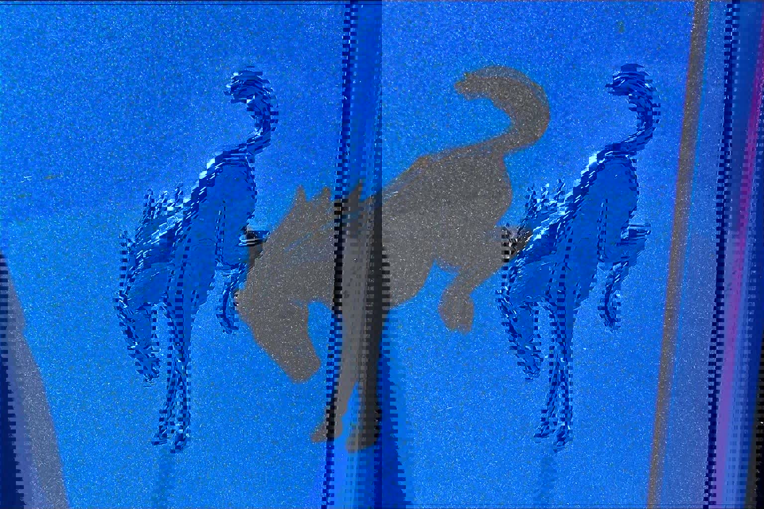 Certified 2021 Ford Bronco First Edition image 12