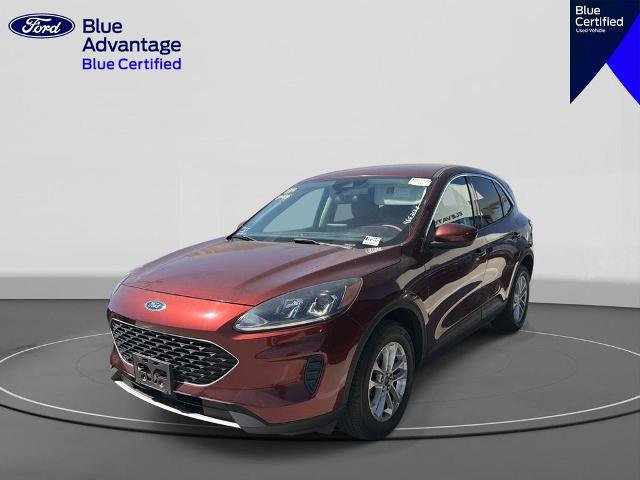 Certified 2021 Ford Escape SE AWD/4WD image 1