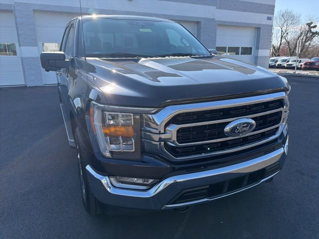 Certified 2022 Ford F150 XLT w/ Equipment Group 302A High image 2