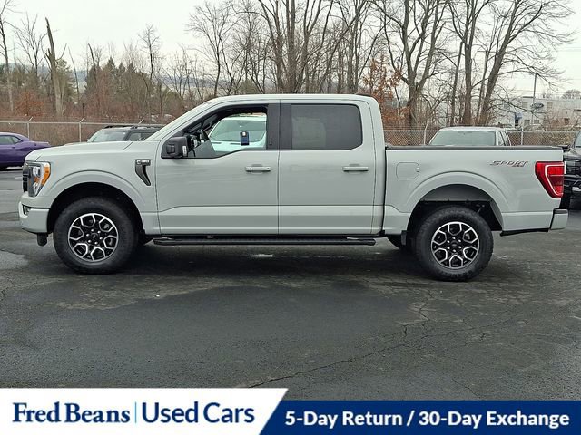Certified 2023 Ford F150 XLT w/ Equipment Group 302A High image 3