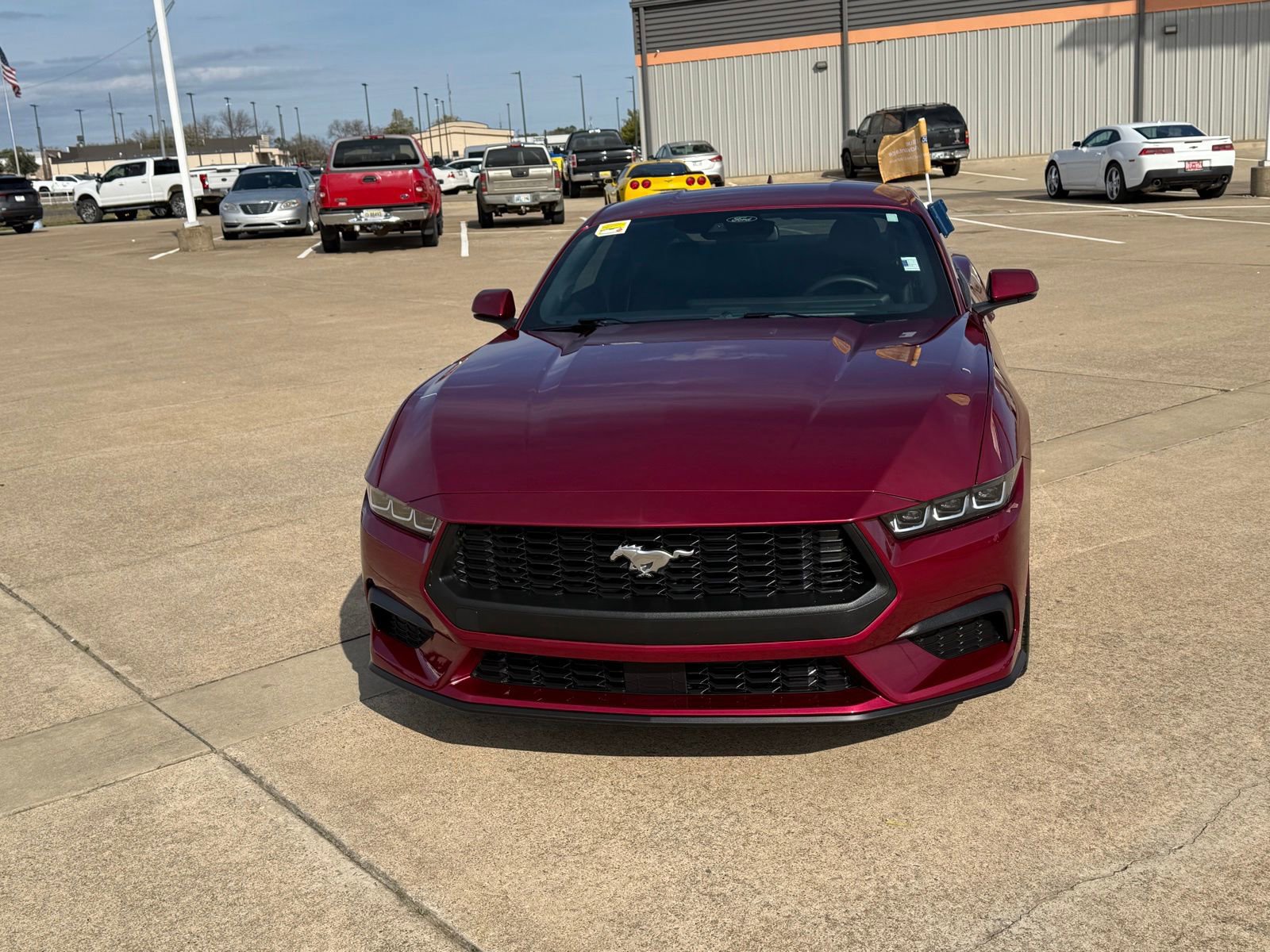 Certified 2025 Ford Mustang Premium image 8