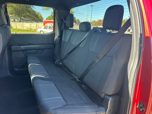 Certified 2024 Ford F150 STX w/ STX Black Appearance Package image 13