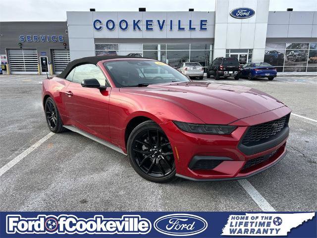 Certified 2024 Ford Mustang Premium image 1