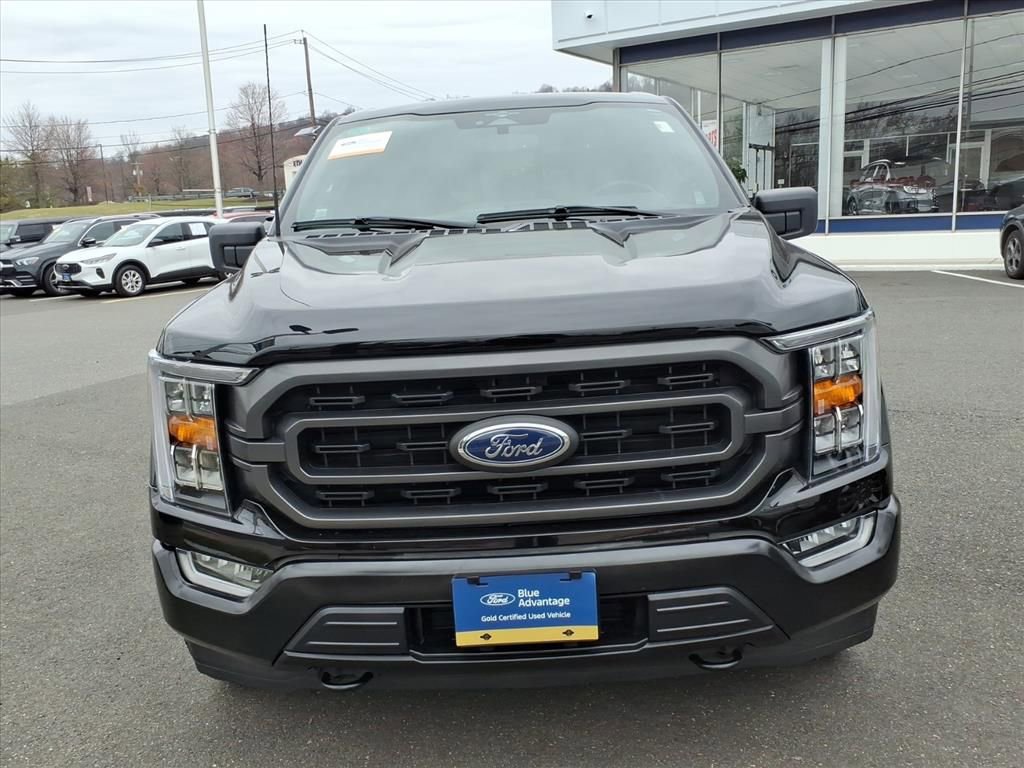 Certified 2023 Ford F150 XLT w/ Equipment Group 302A High image 2