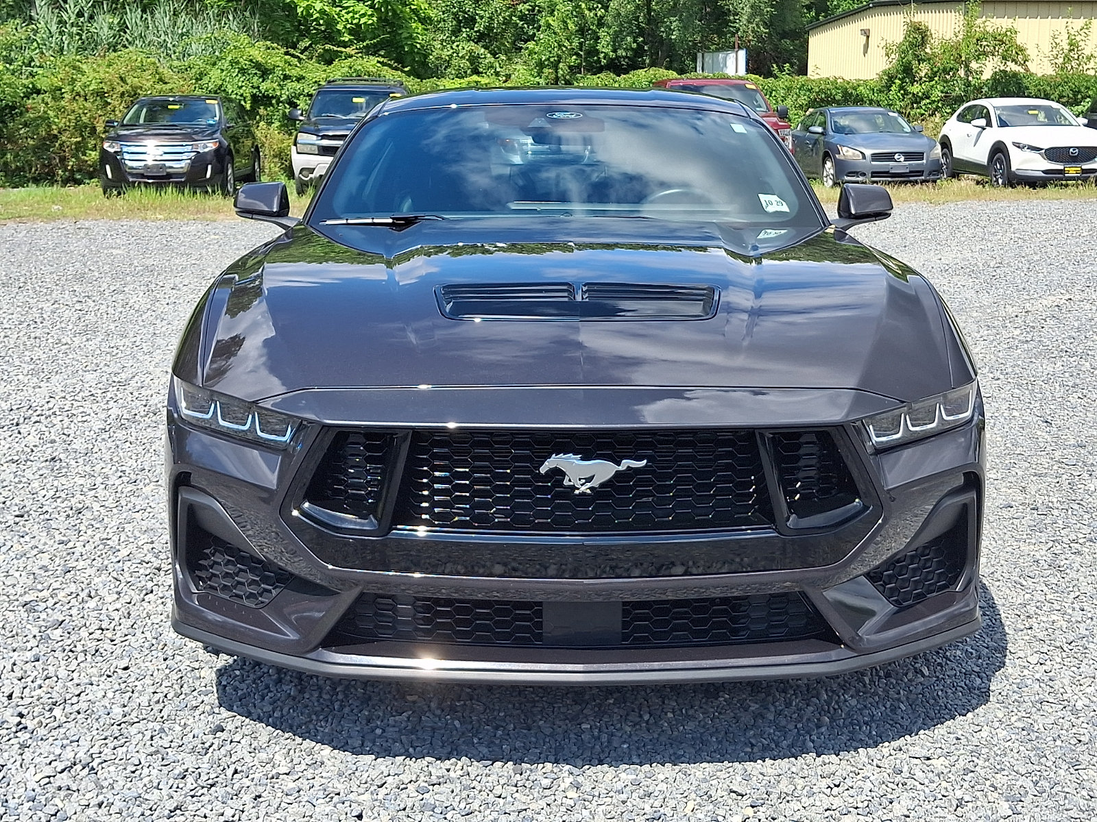 Certified 2024 Ford Mustang GT Premium RWD image 2
