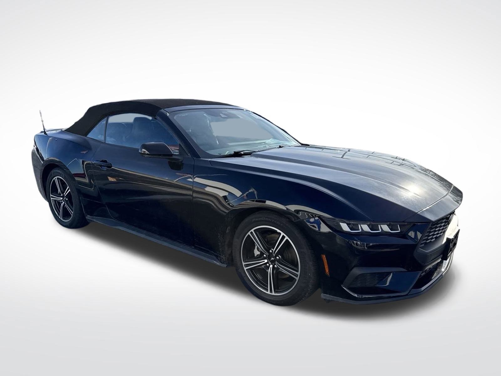 Certified 2024 Ford Mustang Premium image 3