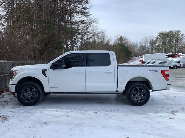 Certified 2023 Ford F150 Lariat w/ Equipment Group 502A High image 3