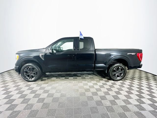 Certified 2023 Ford F150 XLT w/ Equipment Group 302A High image 2