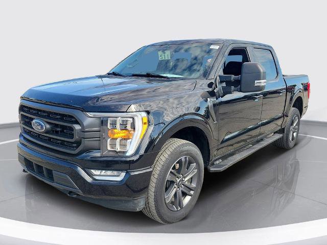 Certified 2023 Ford F150 XLT w/ Equipment Group 302A High AWD/4WD image 3