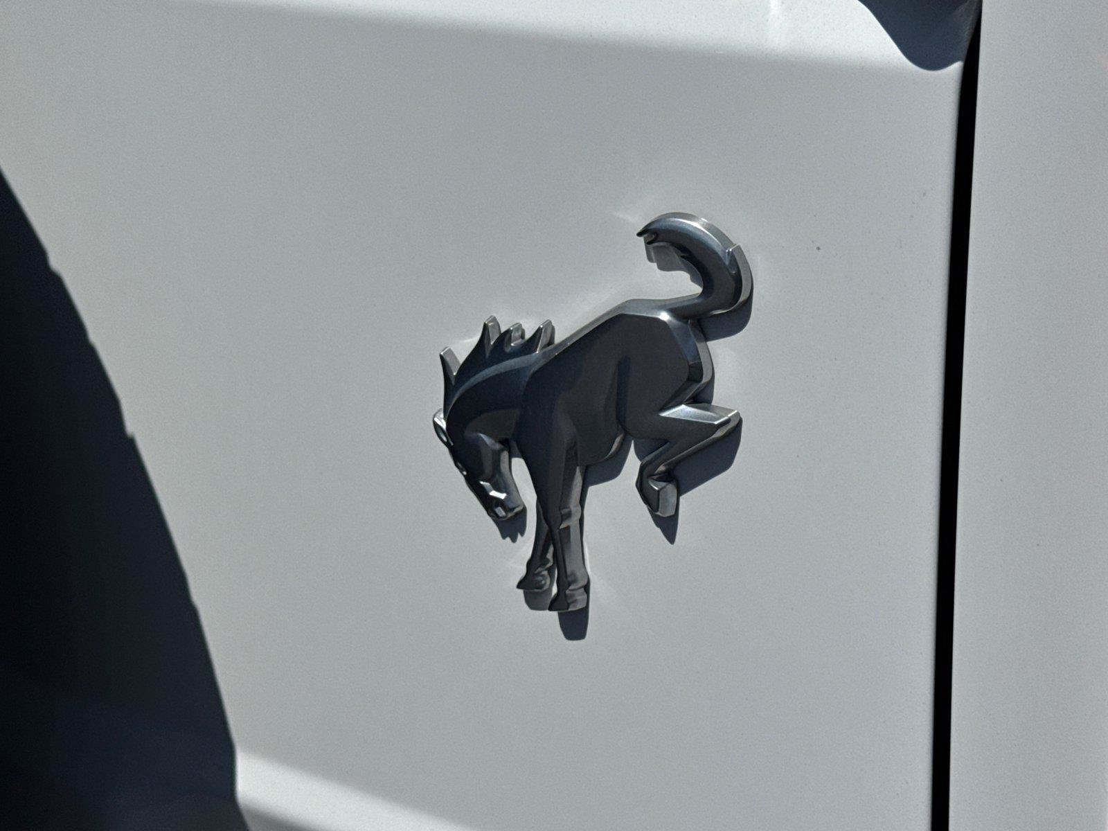 Certified 2022 Ford Bronco Black Diamond AWD/4WD image 13