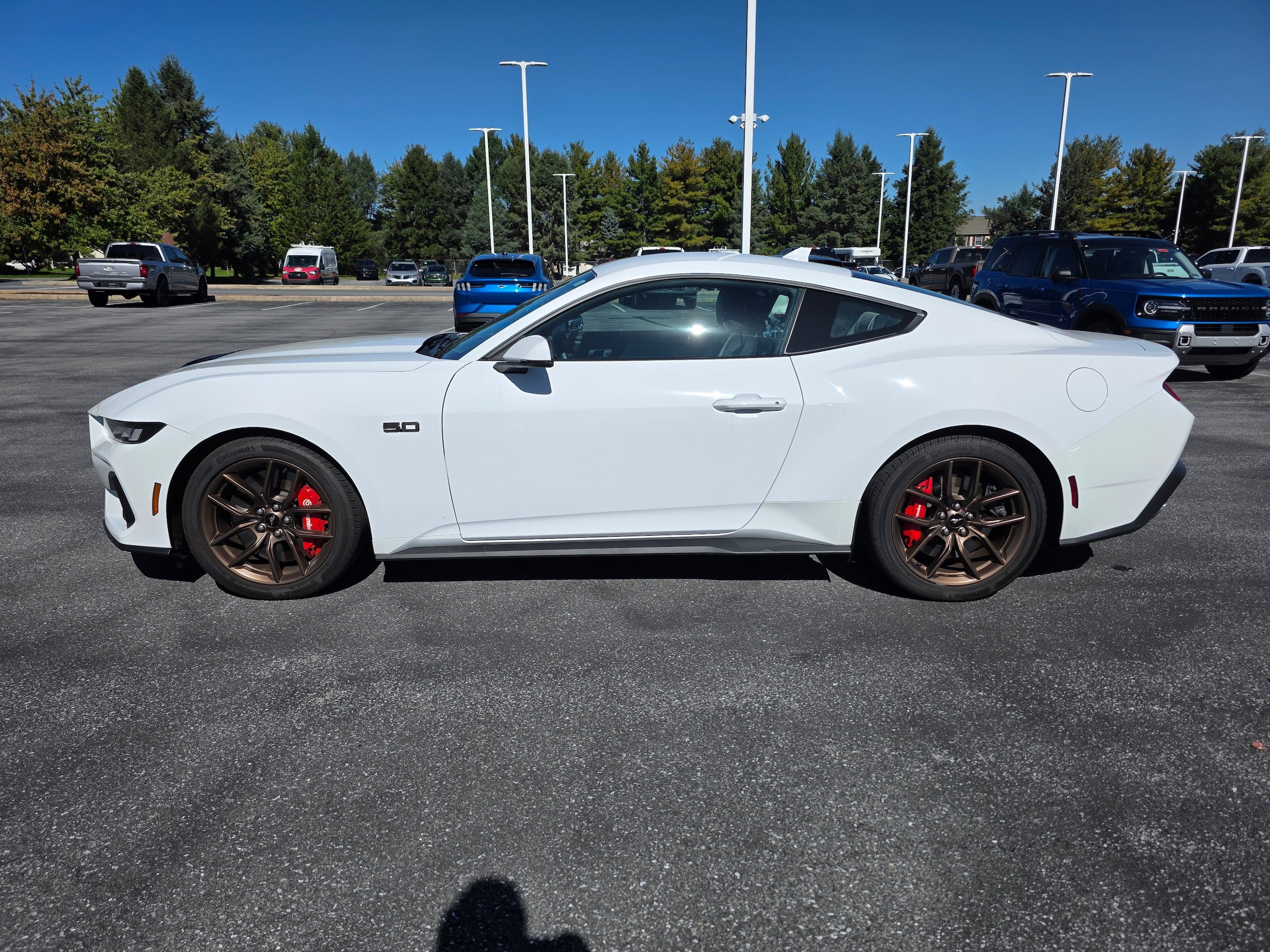 Certified 2024 Ford Mustang GT Premium RWD image 2