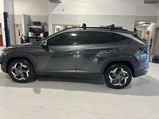 Used 2023 Hyundai Tucson Limited image 2