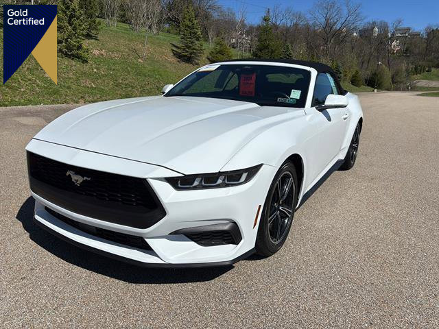 Certified 2024 Ford Mustang Premium image 1