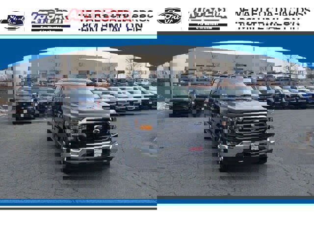 Certified 2021 Ford F150 XLT w/ Equipment Group 302A High image 7