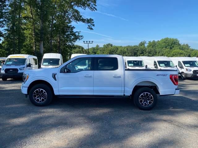 Certified 2023 Ford F150 XLT w/ Equipment Group 302A High image 2