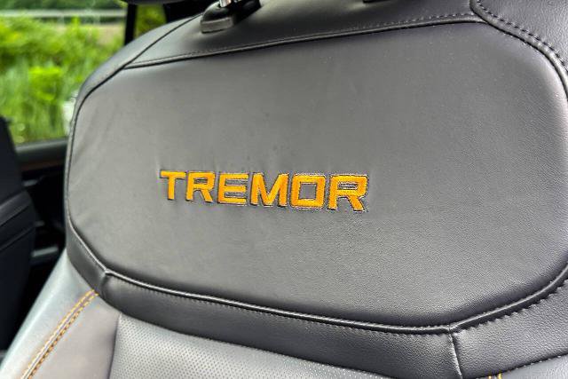 Certified 2025 Ford Expedition Tremor AWD/4WD image 26
