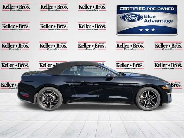 Certified 2019 Ford Mustang Premium RWD image 8
