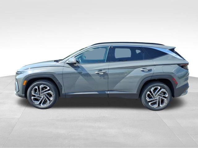 Used 2025 Hyundai Tucson Limited AWD/4WD image 7