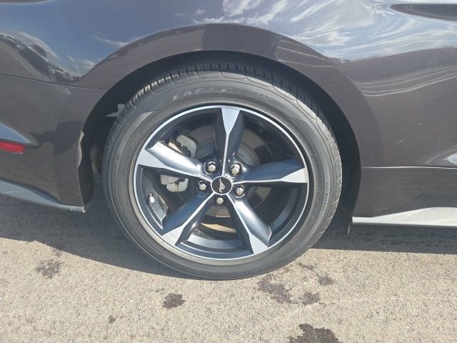 Certified 2023 Ford Mustang EcoBoost w/ Equipment Group 101A image 12