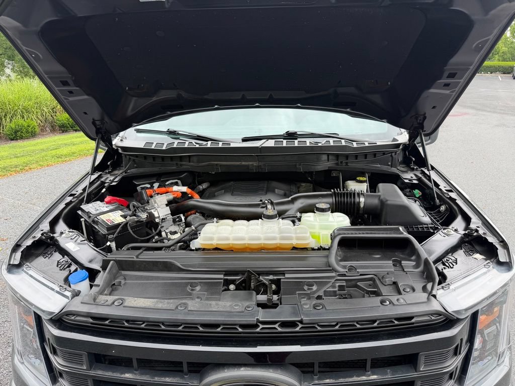 Certified 2023 Ford F150 XLT w/ Equipment Group 302A High AWD/4WD image 22